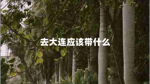 去大連應該帶什么