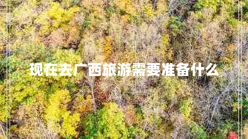 現在去廣西旅游需要準備什么