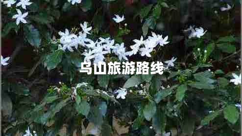 烏山旅游路線(xiàn)