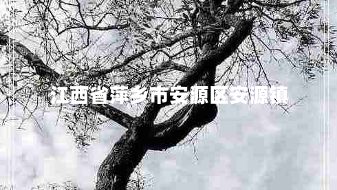江西省萍鄉市安源區安源鎮