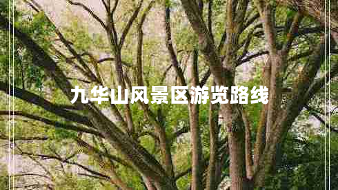 九華山風(fēng)景區游覽路線(xiàn)