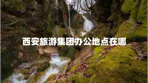 西安旅游集團辦公地點(diǎn)在哪