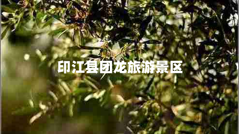 印江縣團龍旅游景區