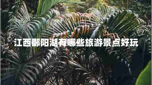 江西鄱陽(yáng)湖有哪些旅游景點(diǎn)好玩