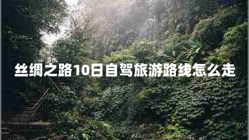 絲綢之路10日自駕旅游路線(xiàn)怎么走