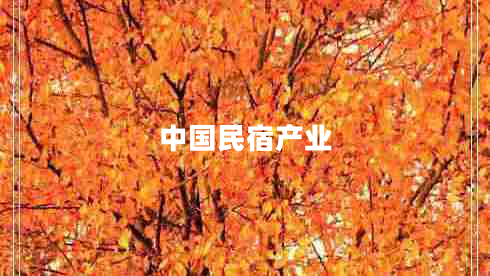 中國民宿產(chǎn)業(yè)