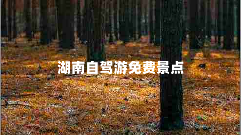 湖南自駕游免費景點(diǎn)