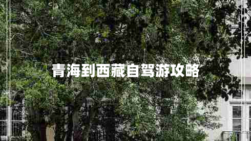 青海到西藏自駕游攻略
