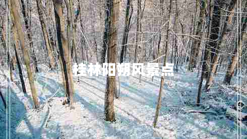 桂林陽(yáng)朔風(fēng)景點(diǎn)