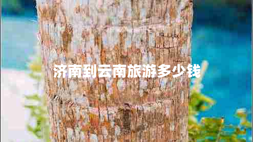 濟南到云南旅游多少錢(qián)