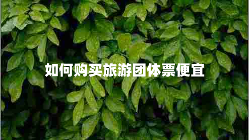 如何購買旅游團體票便宜