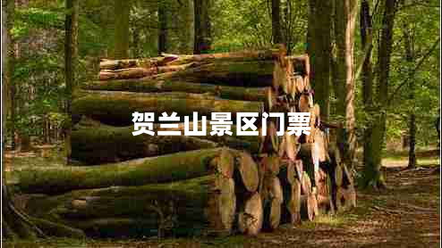 賀蘭山景區門(mén)票