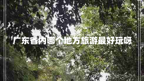 廣東省內哪個(gè)地方旅游最好玩呀