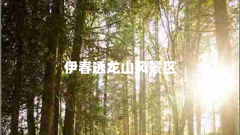 伊春透龍山風(fēng)景區
