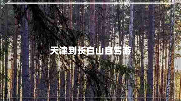 天津到長(cháng)白山自駕游