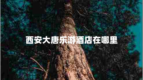 西安大唐樂(lè )游酒店在哪里