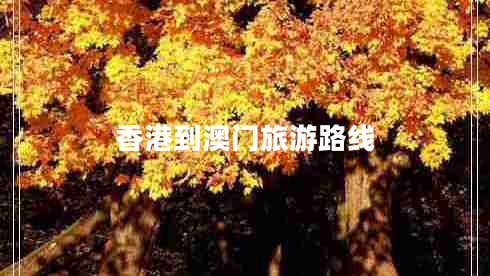 香港到澳門(mén)旅游路線(xiàn)