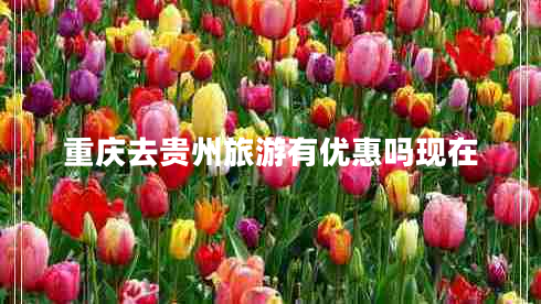重慶去貴州旅游有優(yōu)惠嗎現在