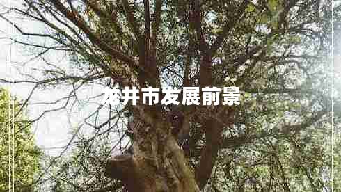 龍井市發(fā)展前景