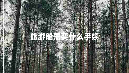 旅游船需要什么手續