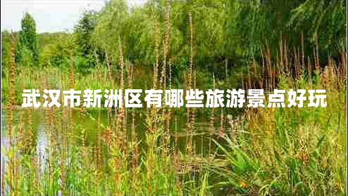 武漢市新洲區有哪些旅游景點(diǎn)好玩
