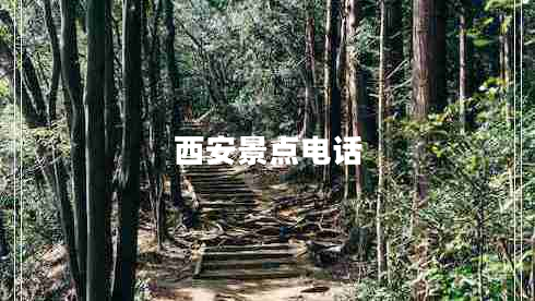 西安景點(diǎn)電話(huà)