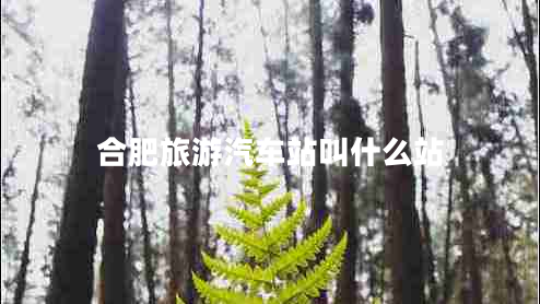 合肥旅游汽車(chē)站叫什么站
