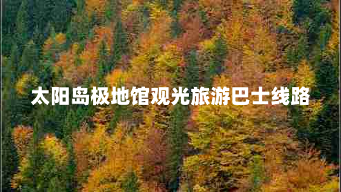 太陽(yáng)島極地館觀(guān)光旅游巴士線(xiàn)路