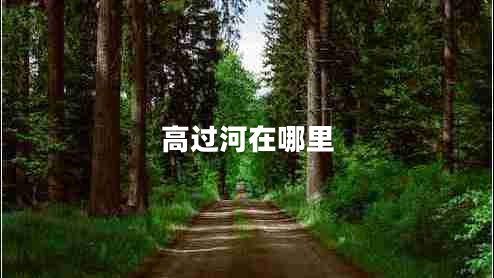 高過(guò)河在哪里