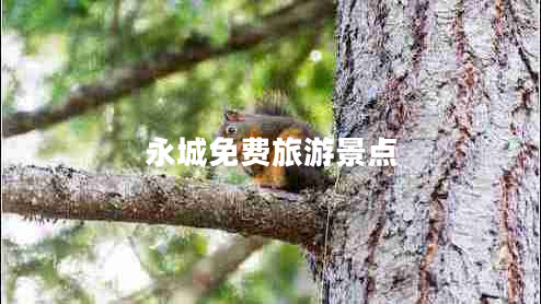 永城免費旅游景點(diǎn)
