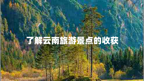 了解云南旅游景點(diǎn)的收獲