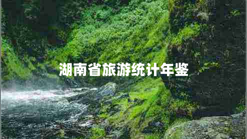 湖南省旅游統計年鑒