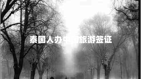 泰國人辦中國旅游簽證