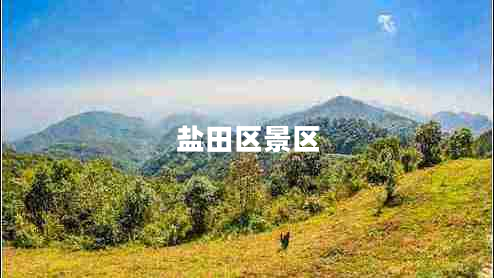 鹽田區景區