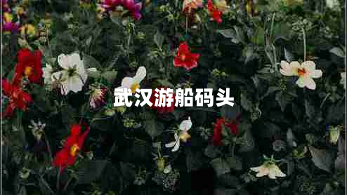 武漢游船碼頭