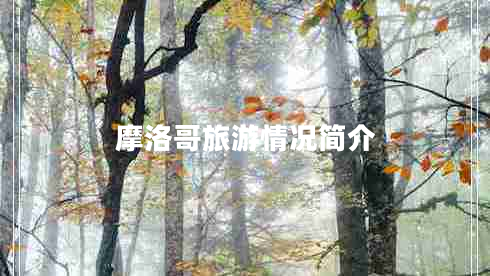摩洛哥旅游情況簡(jiǎn)介