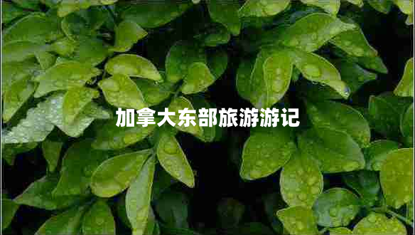 加拿大東部旅游游記