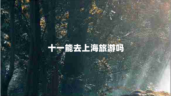 十一能去上海旅游嗎