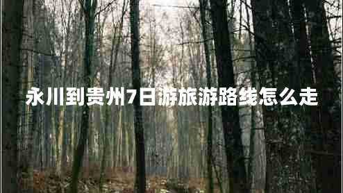 永川到貴州7日游旅游路線(xiàn)怎么走