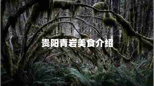 貴陽(yáng)青巖美食介紹