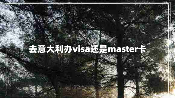 去意大利辦visa還是master卡