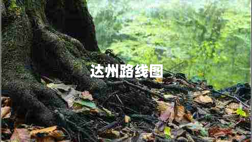達州路線(xiàn)圖