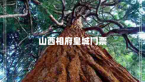 山西相府皇城門(mén)票