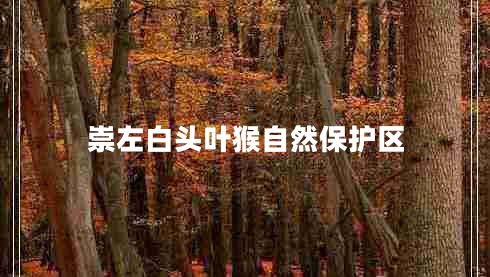 崇左白頭葉猴自然保護區
