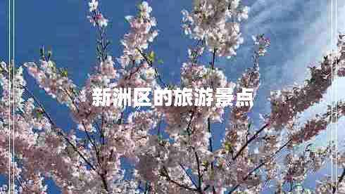 新洲區的旅游景點(diǎn)