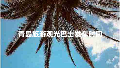 青島旅游觀(guān)光巴士發(fā)車(chē)時(shí)間