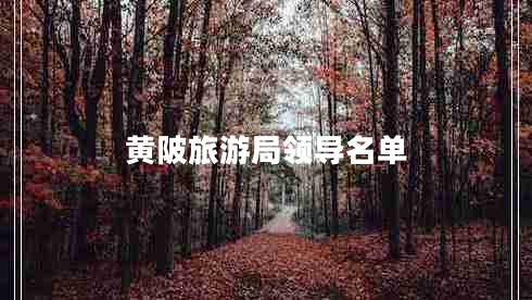 黃陂旅游局領(lǐng)導名單