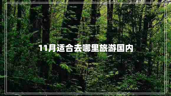 11月適合去哪里旅游國內
