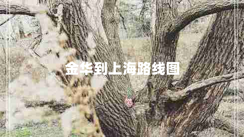 金華到上海路線(xiàn)圖