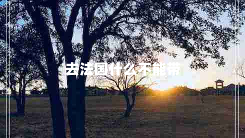 去法國什么不能帶